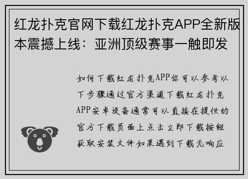 红龙扑克官网下载红龙扑克APP全新版本震撼上线：亚洲顶级赛事一触即发